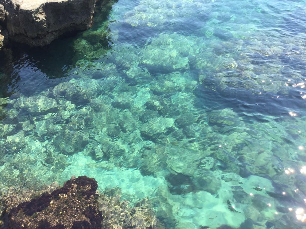 Beautiful House At The Sea Savelletri Βίλα Εξωτερικό φωτογραφία